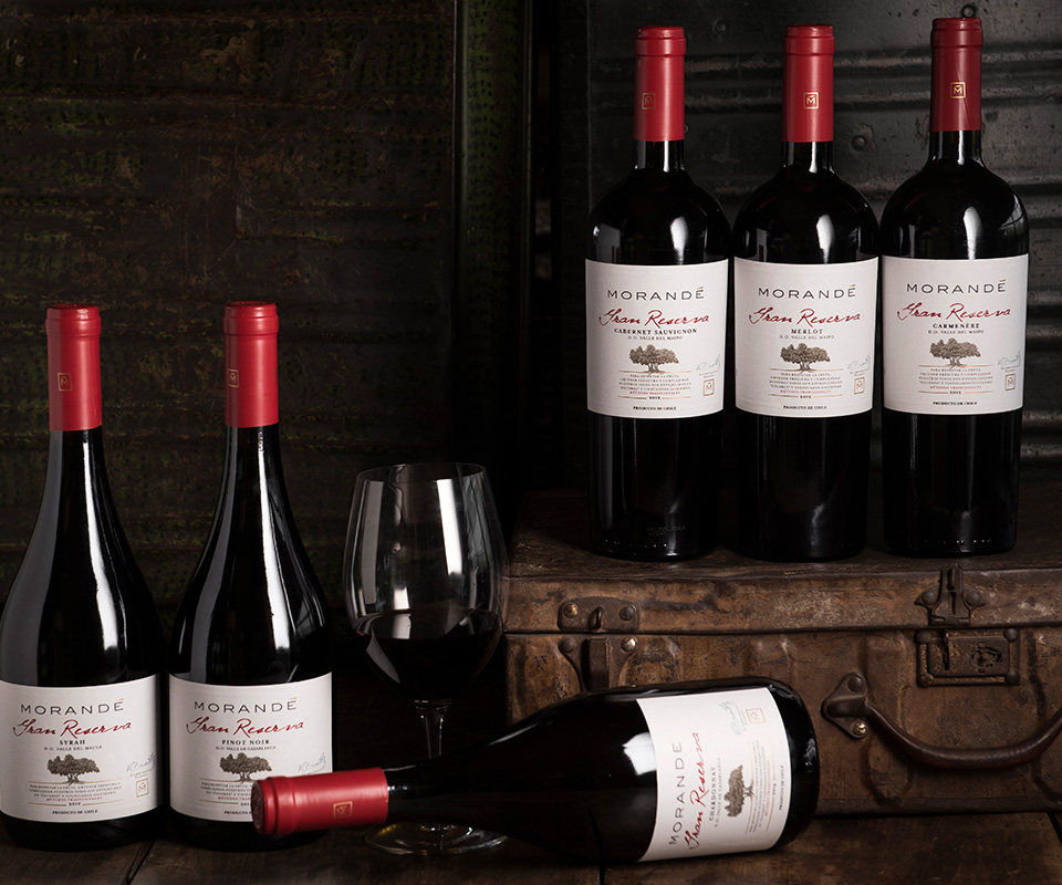 El vino tinto Morandé Gran Reserva es de los mejores vinos chilenos para regalar.